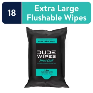 DUDE WIPES MINT CHILL