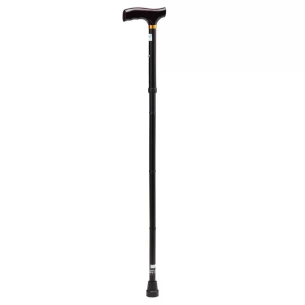 EQ WALKING CANE