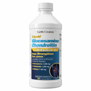 ALEVITOR GLUCOSAMINE CHOND LIQ