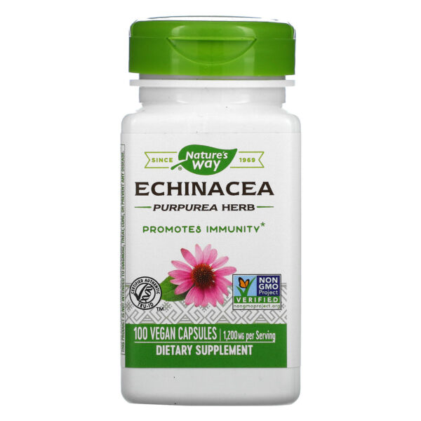 N/WAY ECHINACEA